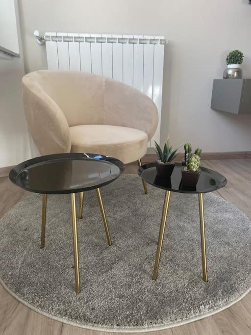 Micheli Apartment فلورنس المظهر الخارجي الصورة